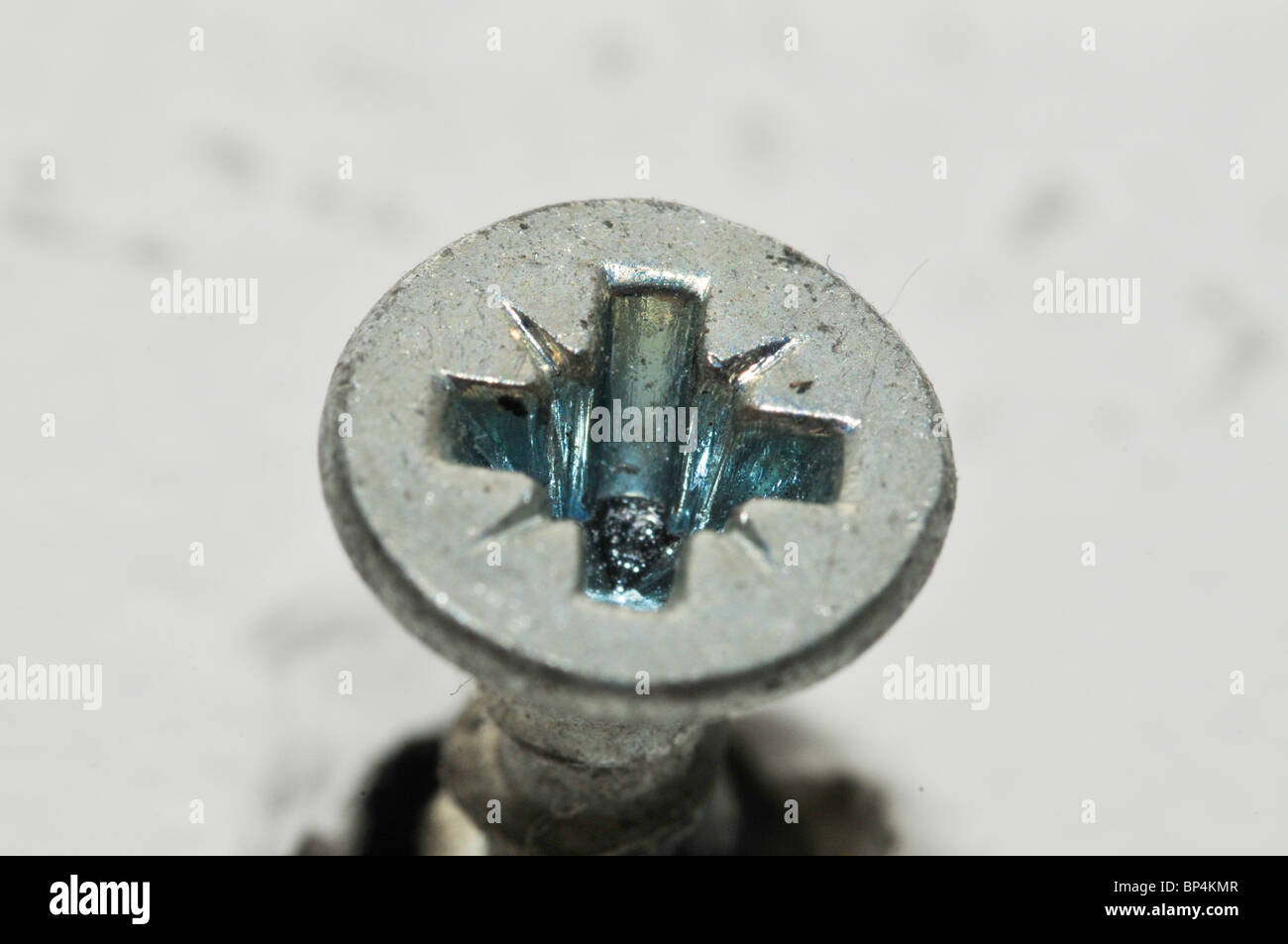 Wood Screw close up Stock Photo - Alamy