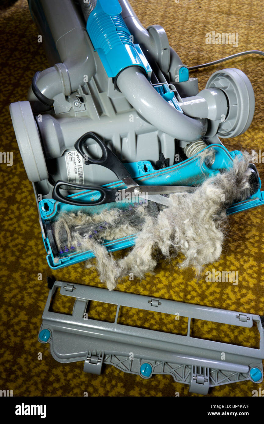 Dyson v8 animal hi-res stock photography and images - Alamy