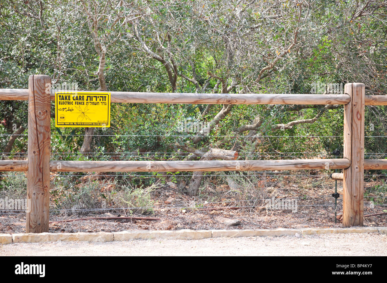 Electric cattle fence Stock Photo Alamy