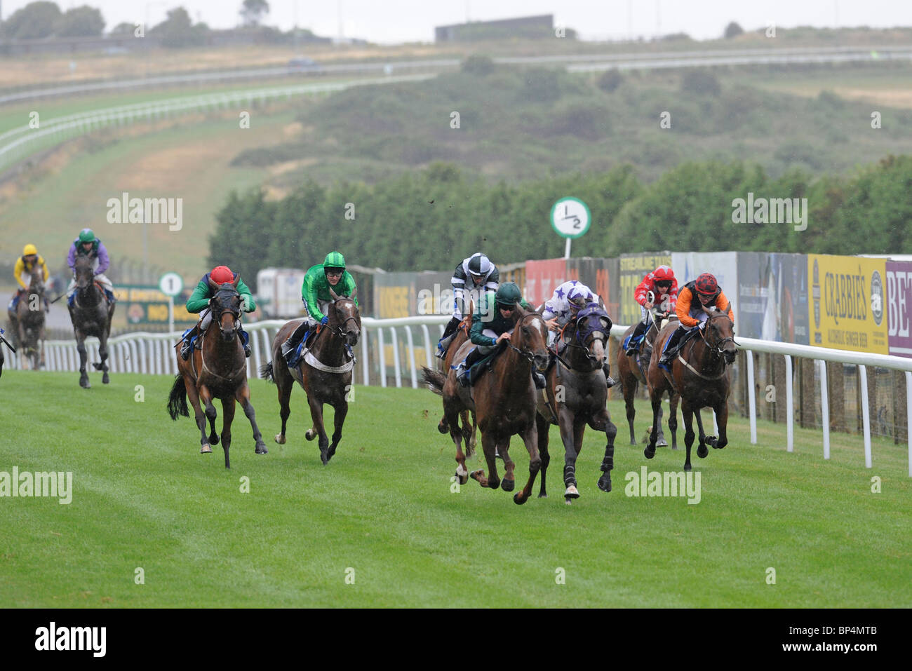 Flat racing horse hires stock photography and images Alamy