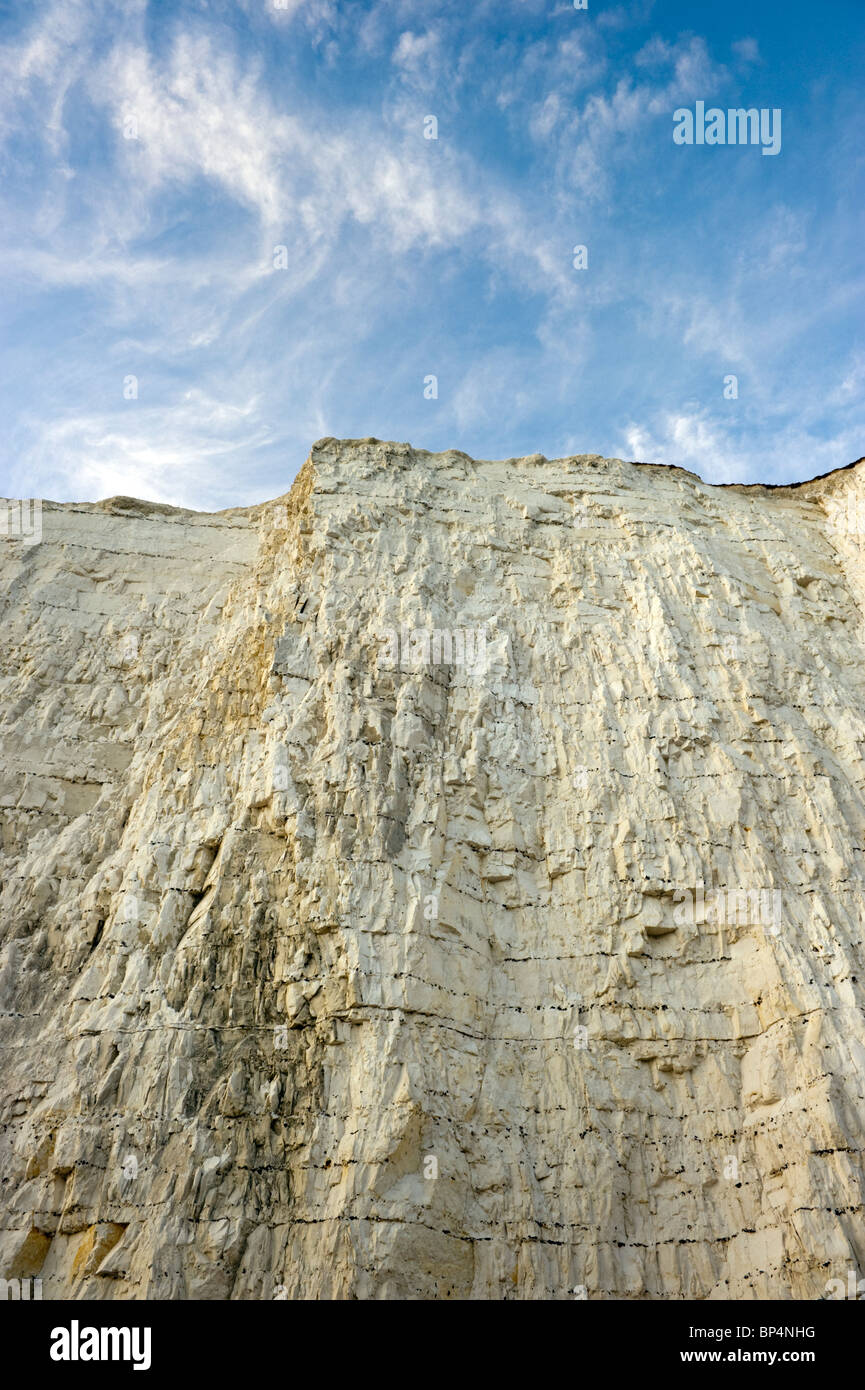 Chalky white limestone cliffs at Beachy Head, South Coast, East Sussex