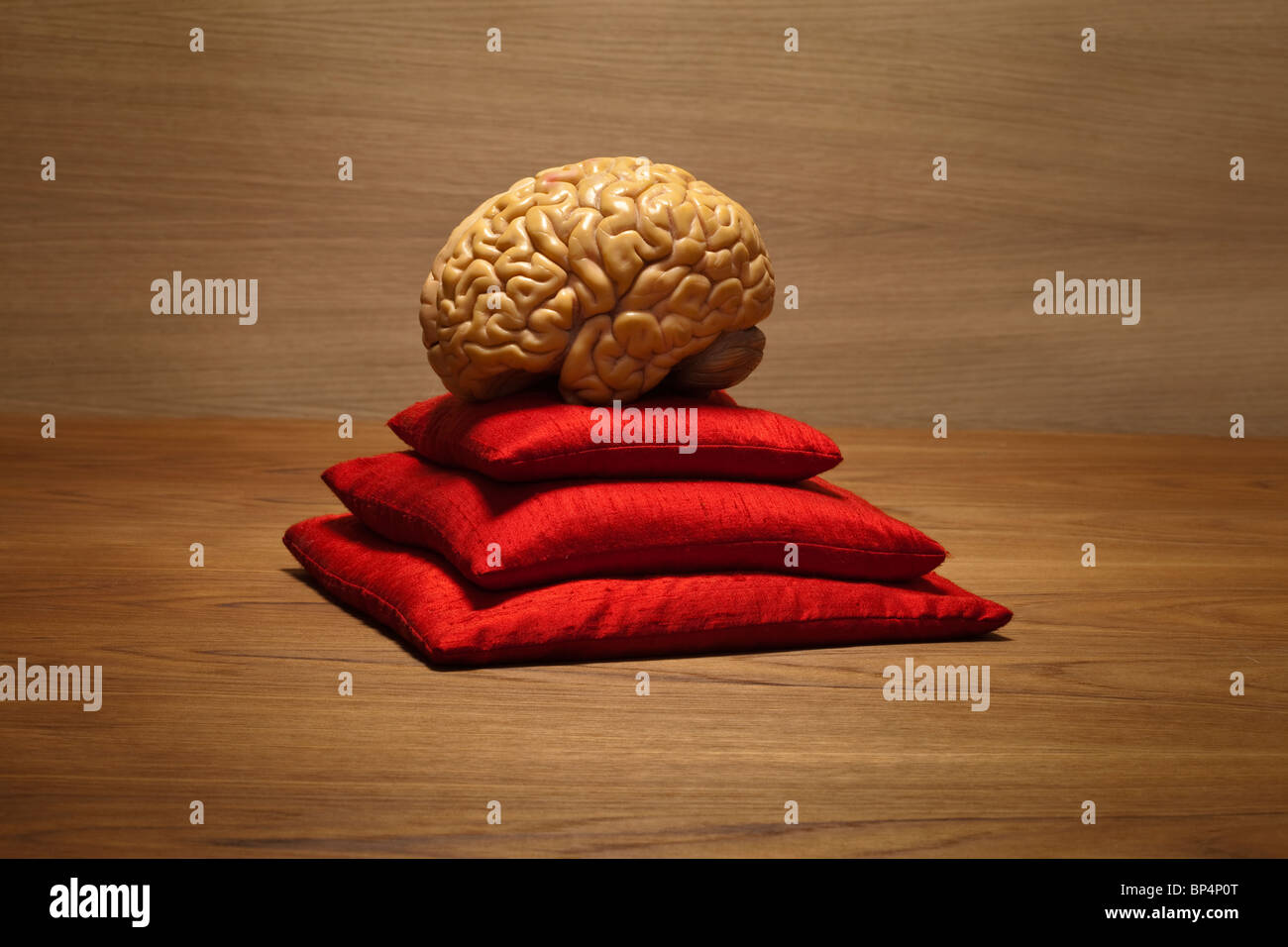 concept brain on red pillows Stock Photo
