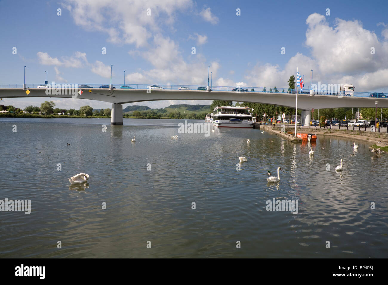 Remich Luxembourg Europe EU View along Moselle River with swans and a cruise boat Stock Photo