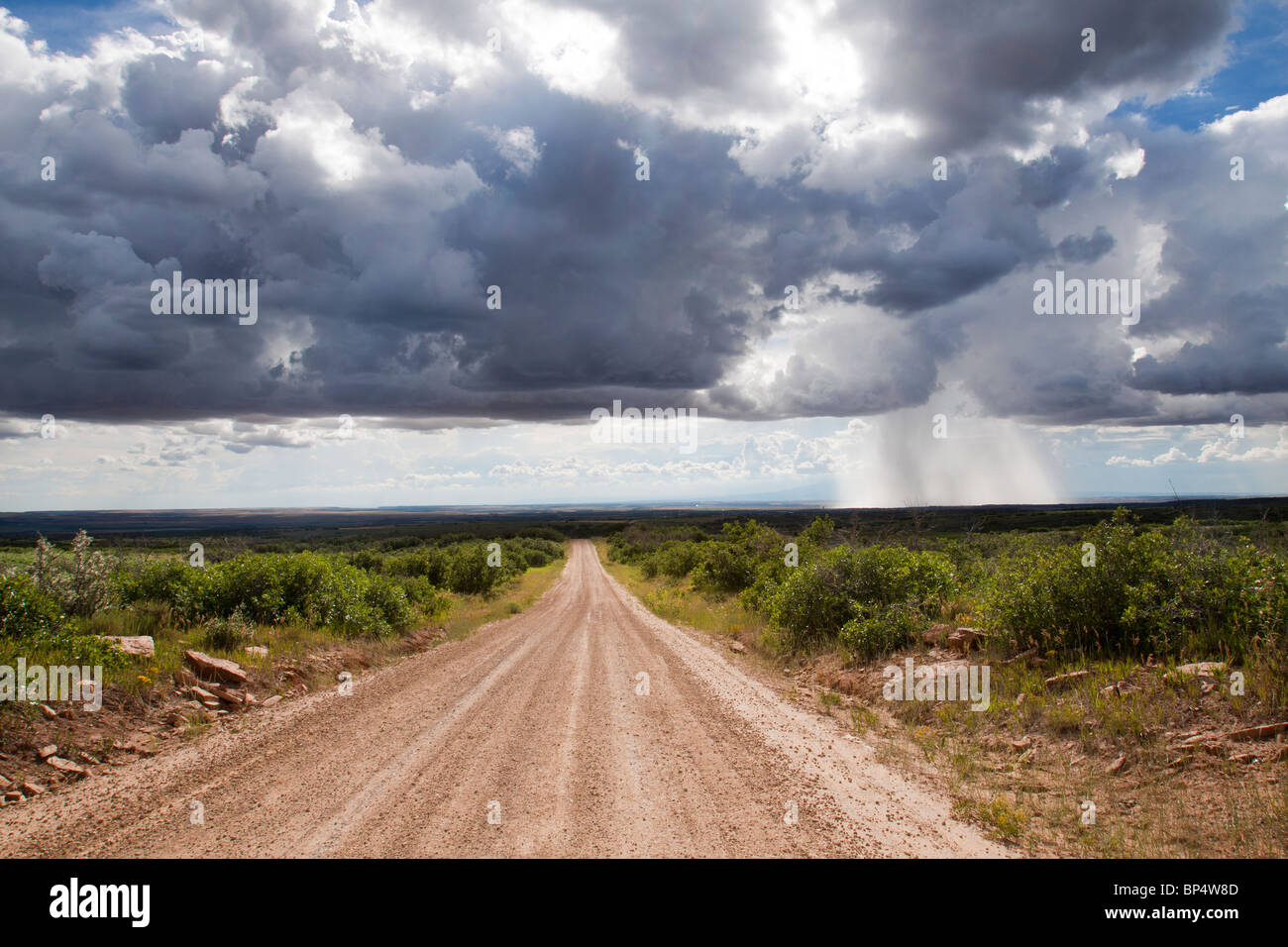 Isolated thundershower falling from looming cumulus cloud formations