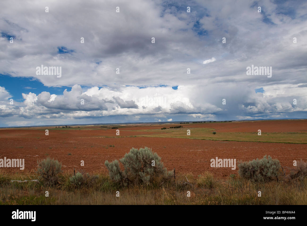 Dramatic cumulus cloud formations looming over a vast field of tilled red soil with sage bushes in southwest Colorado Stock Photo