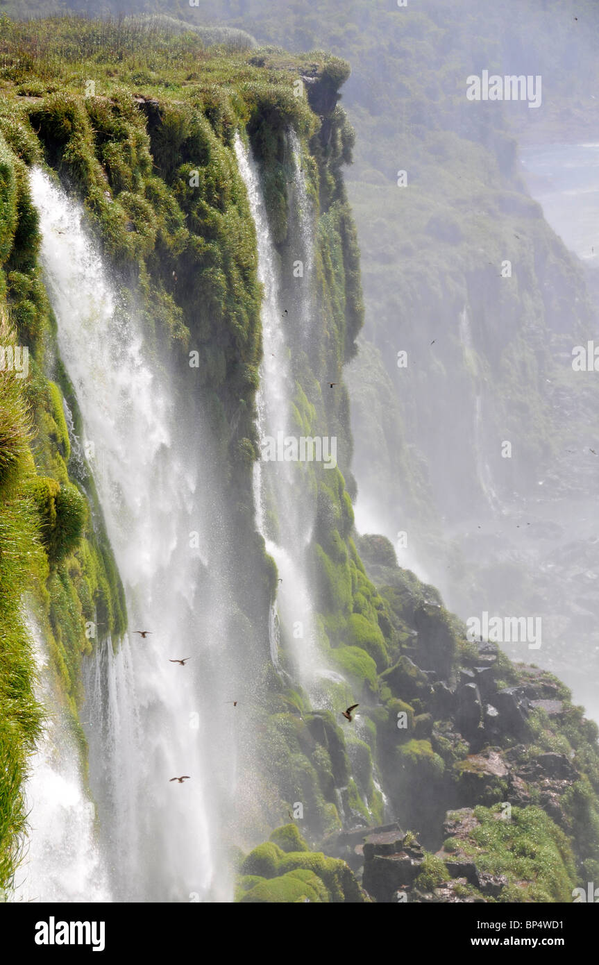 Real-Life Paradise Falls