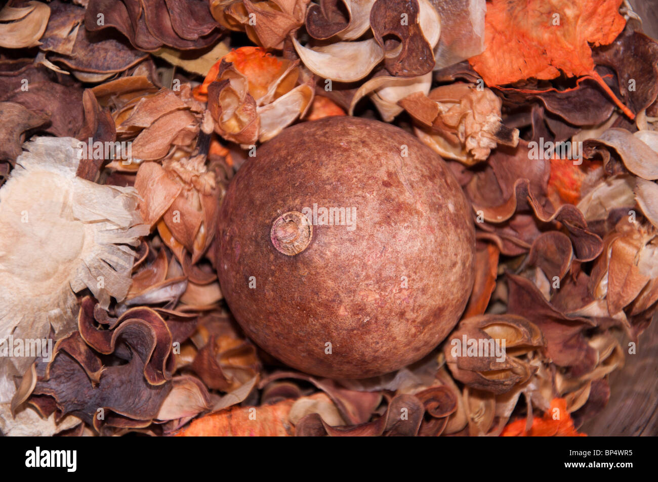Potpourri leaves hires stock photography and images Alamy
