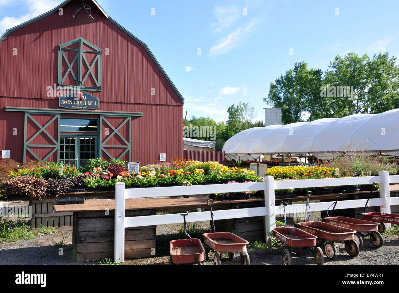 Apple Cider Mill and country store, Avon, Connecticut, New England, USA