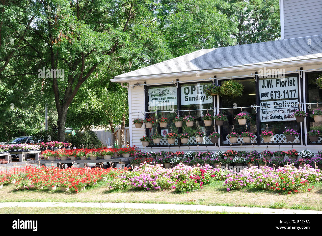 Flower shop in Connecticut, New England, USA Stock Photo Alamy