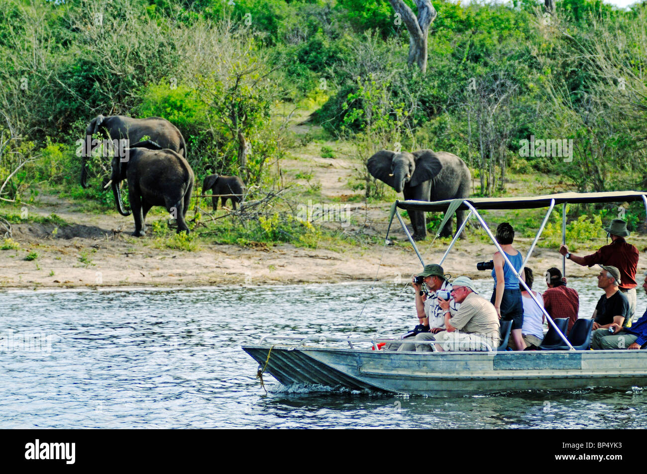 Boat cruise on Chobe River near Kasane, Chobe National Park, Republic of Botswana, Southern Africa Stock Photo