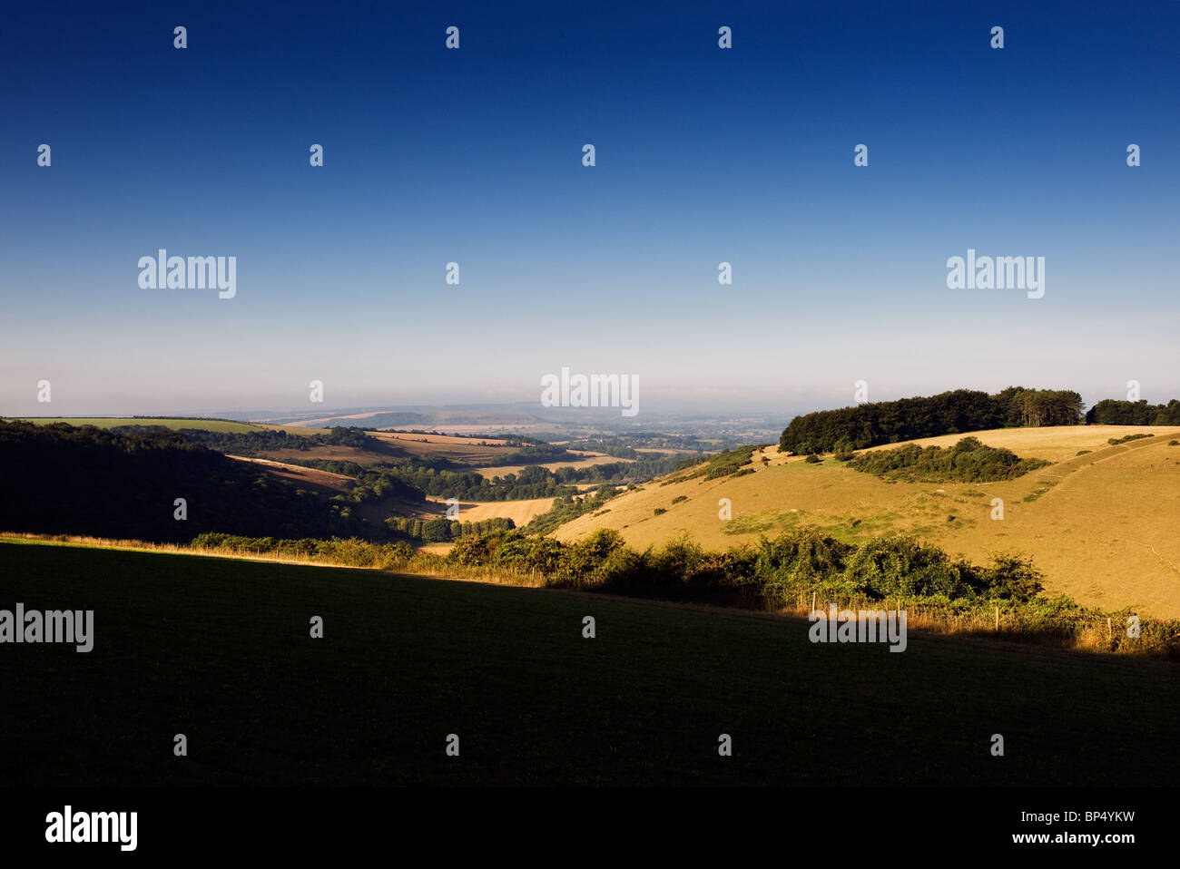 Traditional English landscape view, dorset countryside Stock Photo