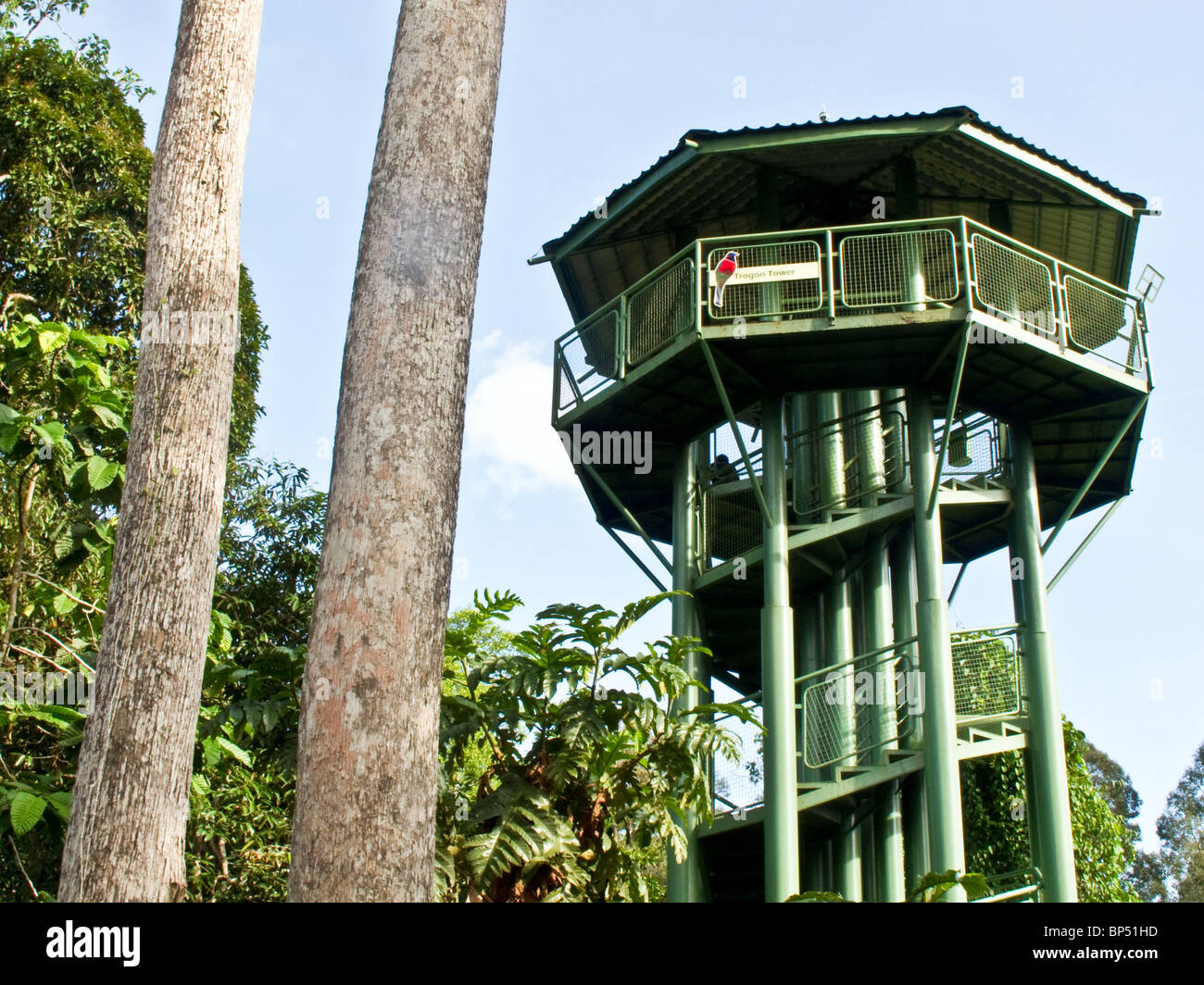 Canopy walkway and tower at The Rainforest Discovery Centre Sandakan Sabah Borneo Malaysia Stock Photo
