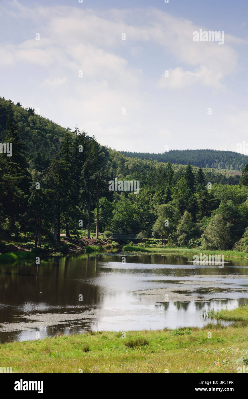 Northumberland park estate hires stock photography and images Alamy