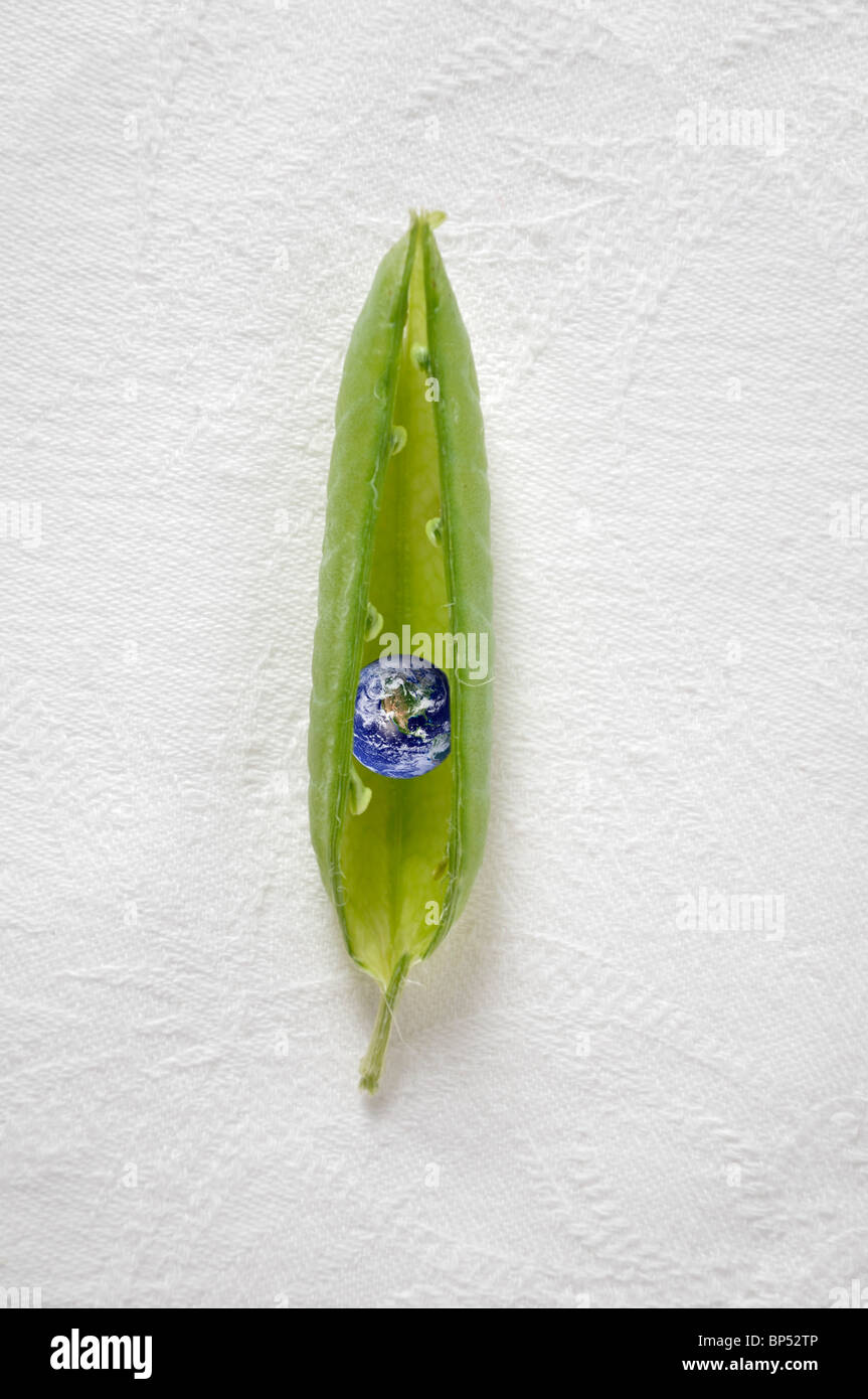 Planet earth inside pea pod Stock Photo