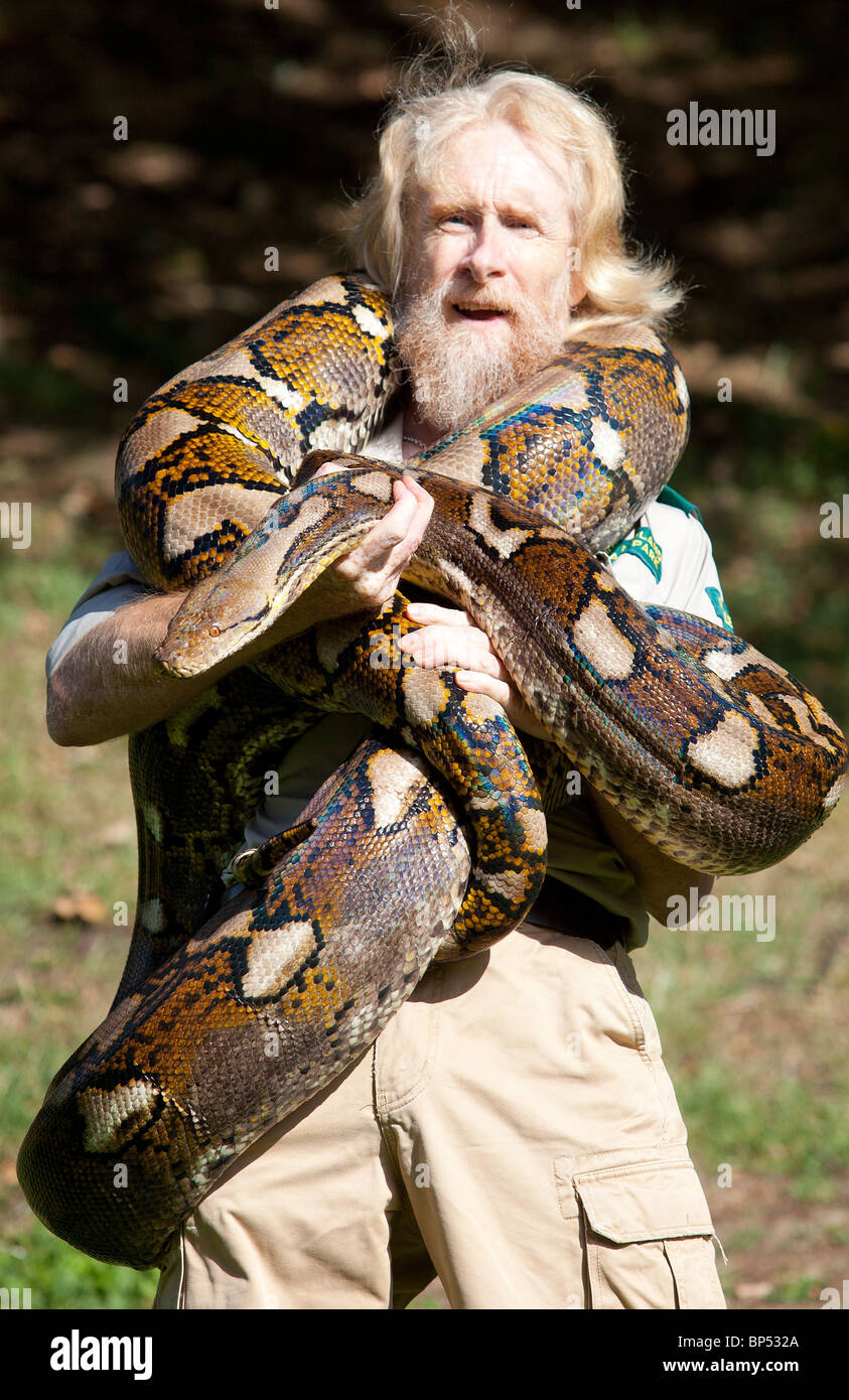 Mark O'shea with the 17 foot long Reticultaed Python which has arrived ...
