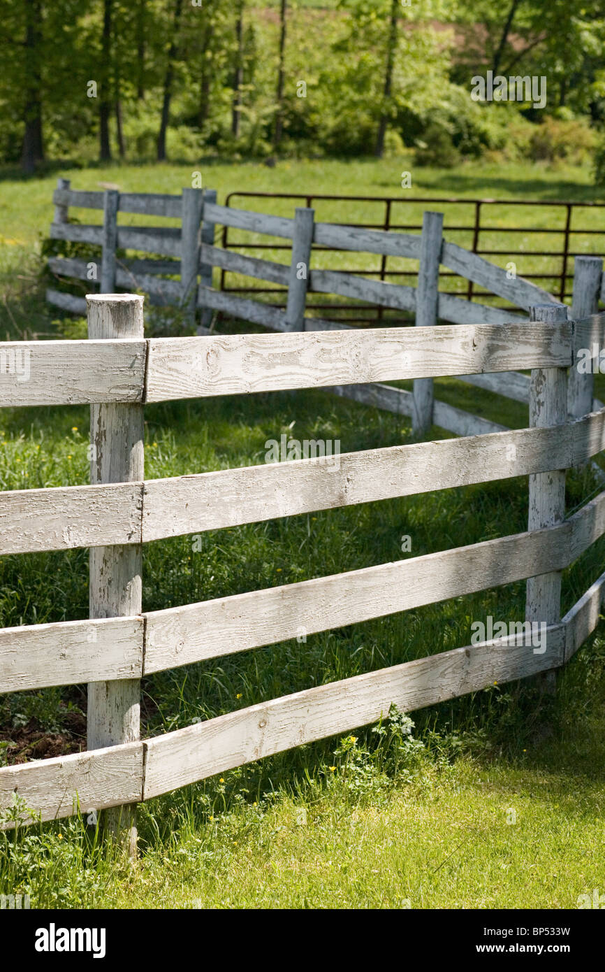 Wooden fencing in farm pasture Stock Photo