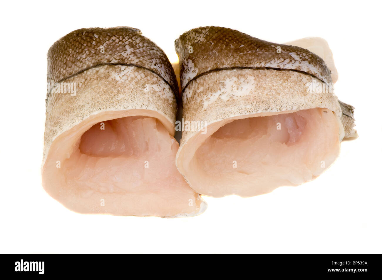 Two Rolled Up Plaice Fillets Stock Photo