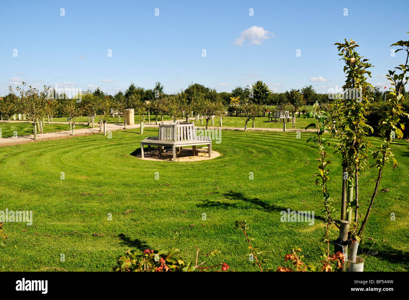 The Peace Garden at the National Memorial Arboretum, Alrewas, Staffordshire, England Stock Photo