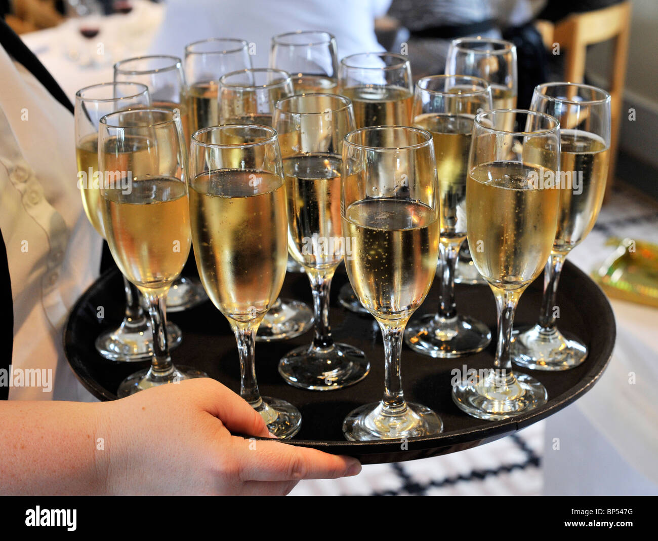 tray of full champagne glasses Stock Photo Alamy