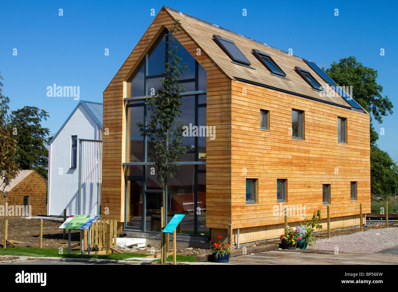 New modern concept houses. Flower House , EcoFriendly Domestic