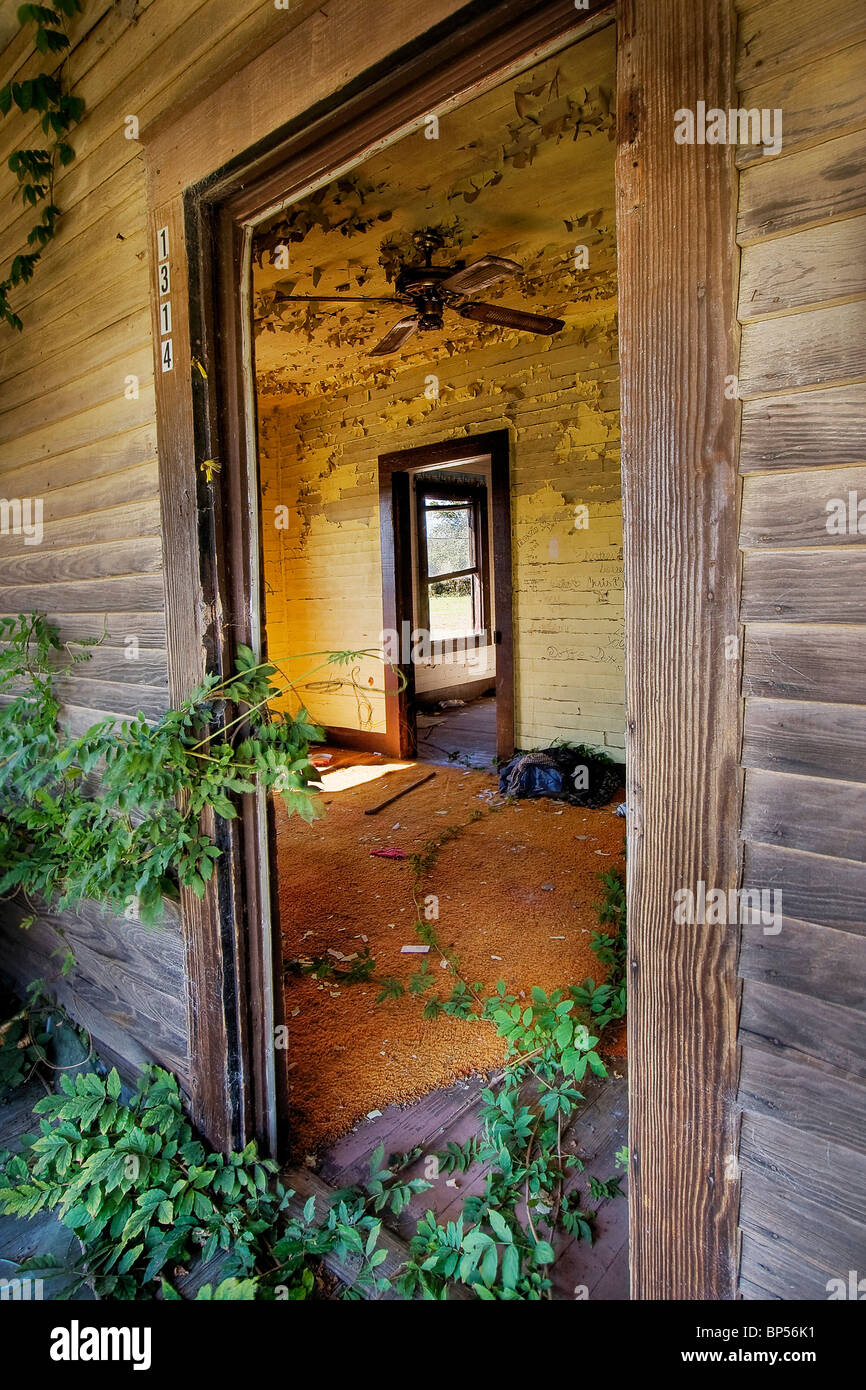 Kudzu hires stock photography and images Alamy