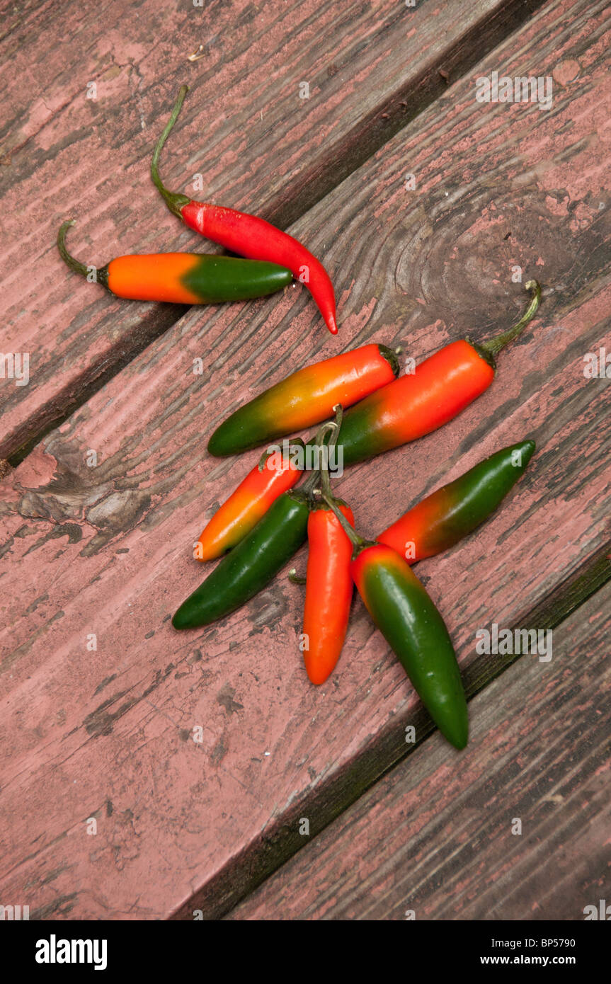 Red and green chili peppers Stock Photo Alamy