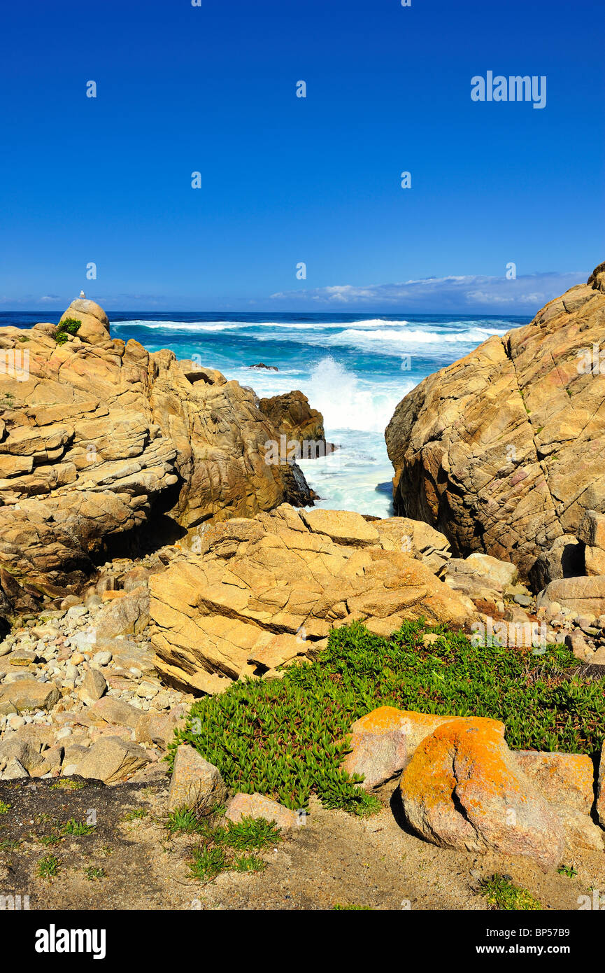 Waves crash against  rocks, Pebble Beach California along 17-Mile Drive with tiny seagull and ground cover wide angle view Stock Photo