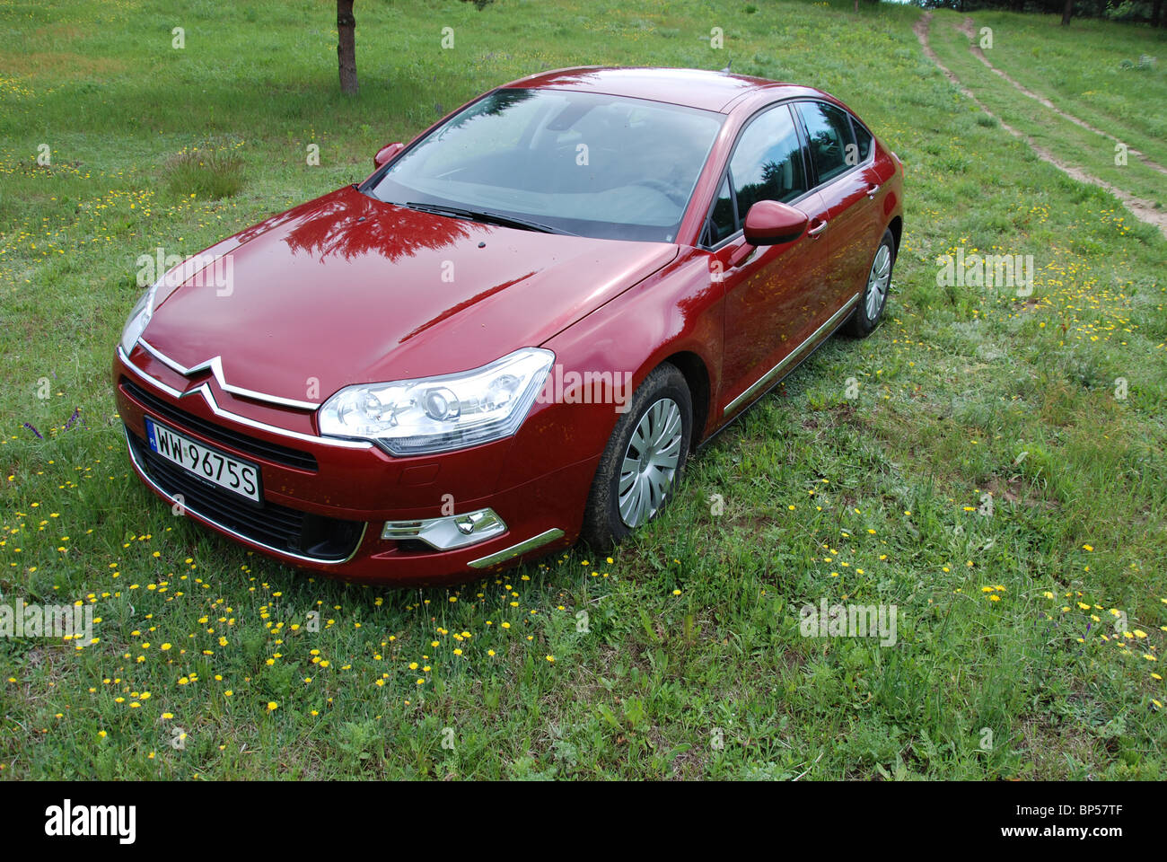Citroen C5 2.0 HDI - MY 2008 - red metallic - five doors - French popular  higher middle class car, segment D - on meadow Stock Photo - Alamy