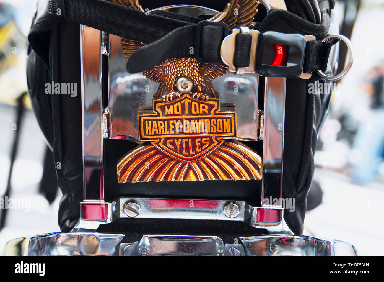 Harley Davidson logo on seat of Harley motorbike Stock Photo