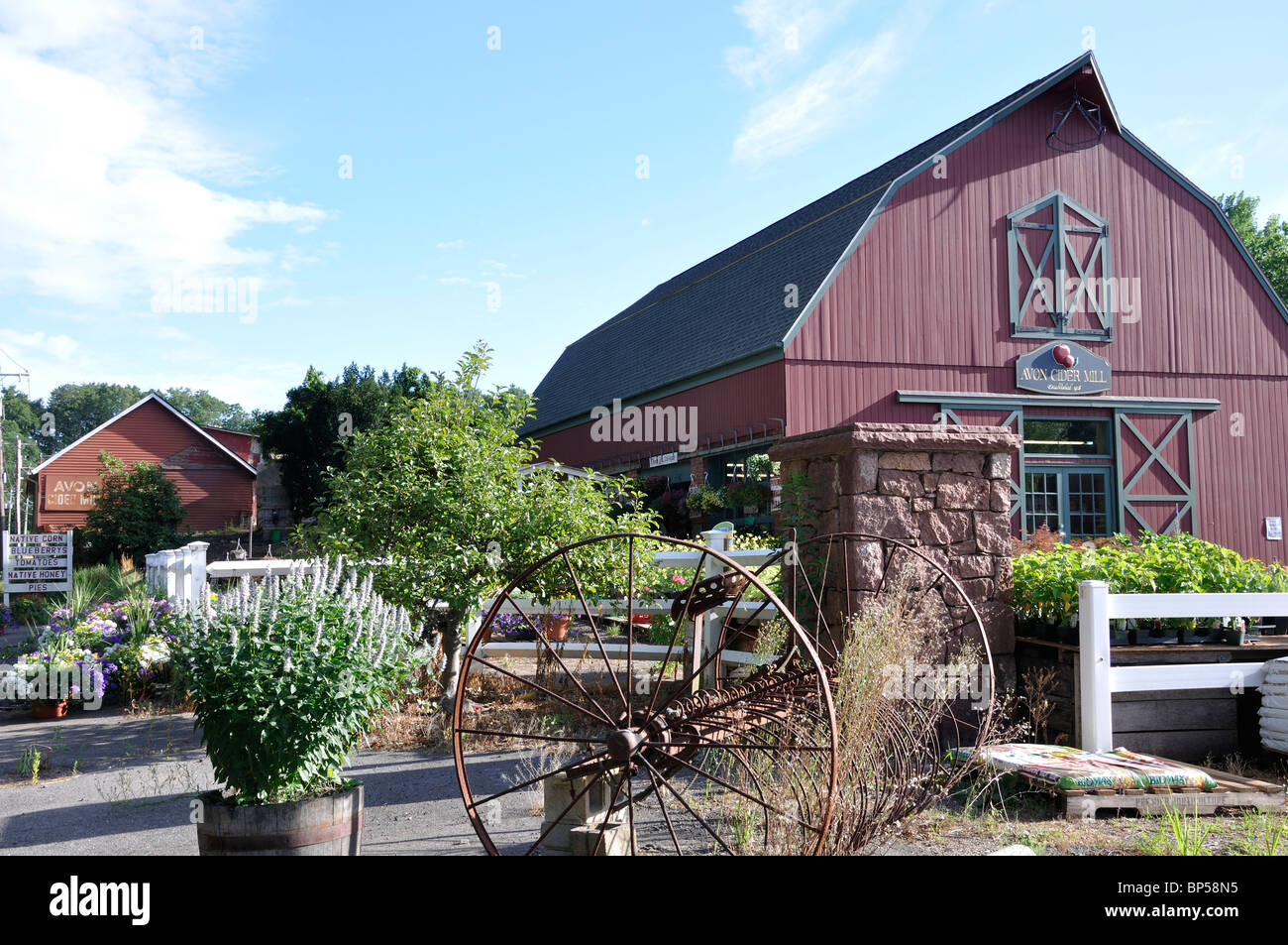 Apple Cider Mill and country store, Avon, Connecticut, New England, USA