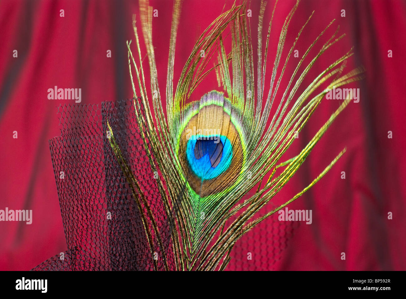 red peacock feather and black netting against bright red silk background )top of Steampunk hat) Stock Photo