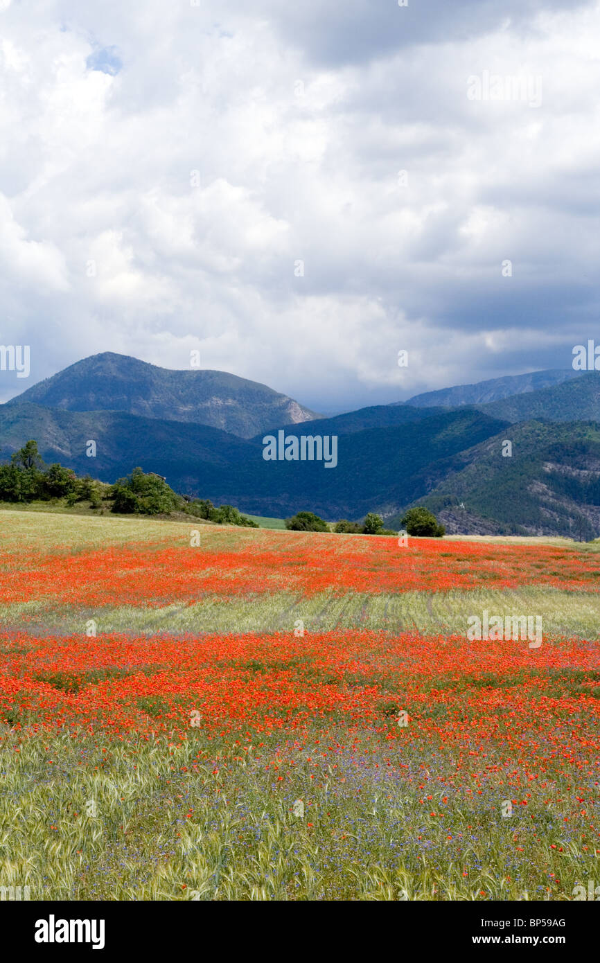 Rural france hi-res stock photography and images - Alamy
