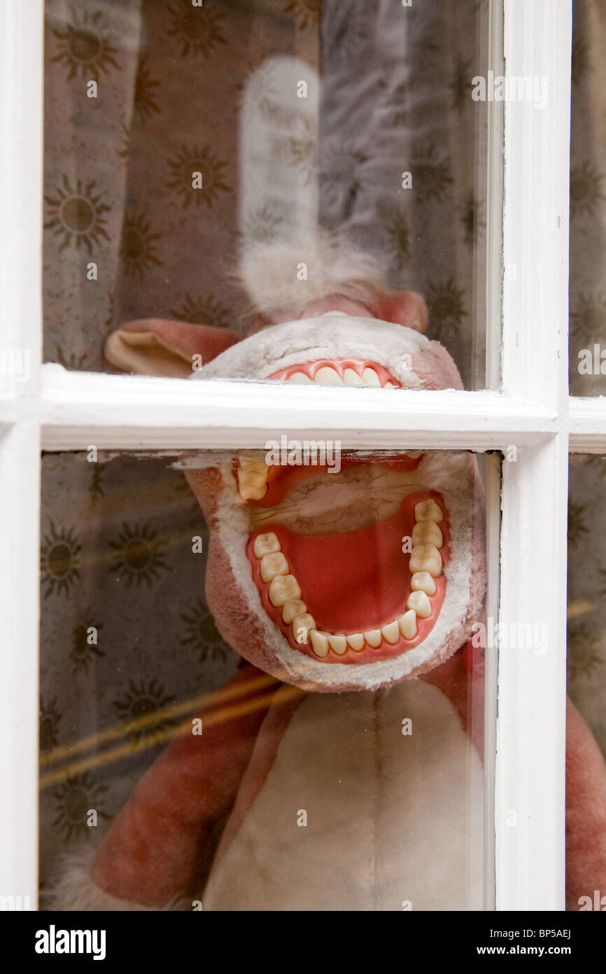 Donkey toy braying in dentist's window in Rye Sussex England Stock Photo