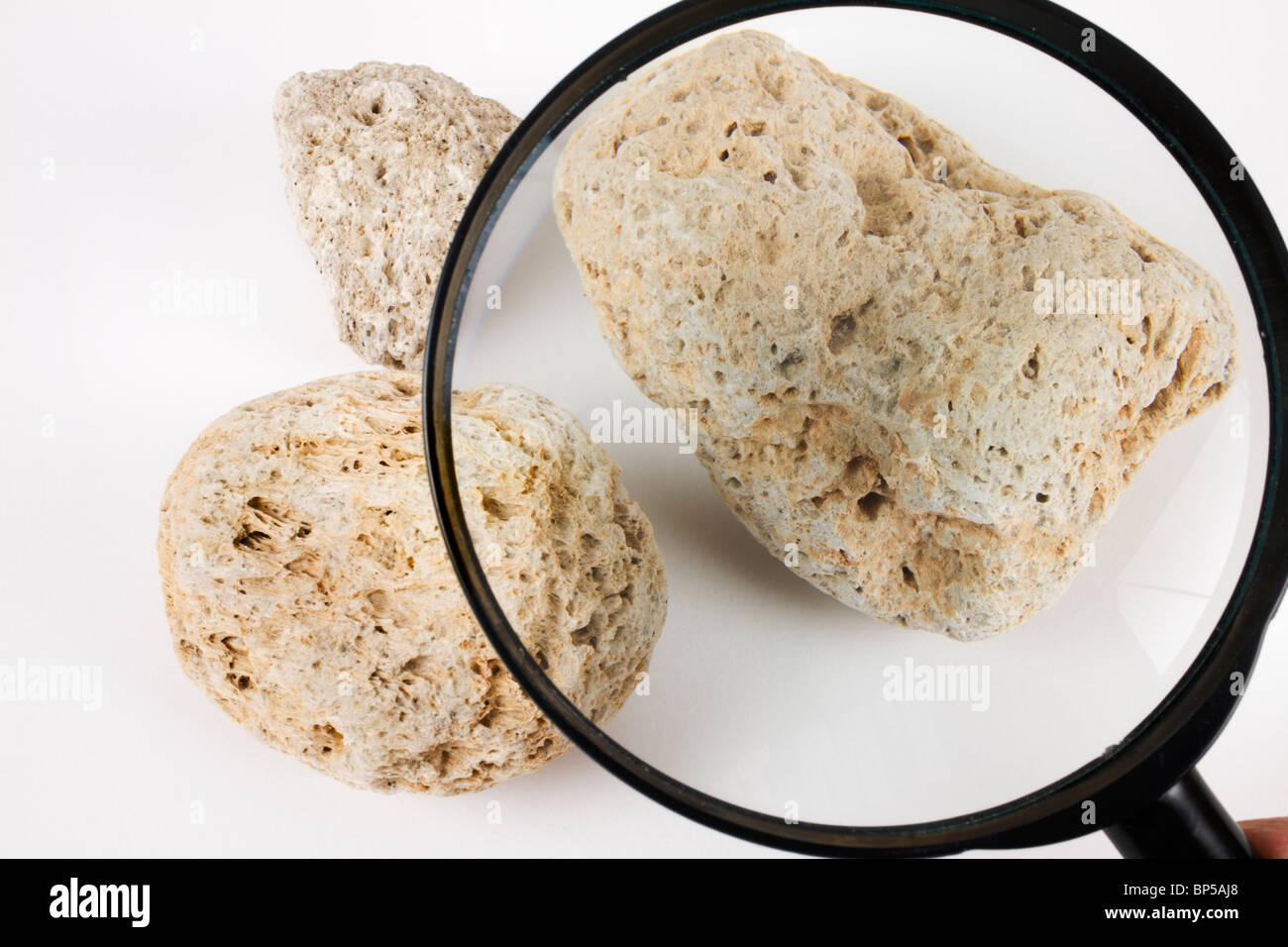 Pumice rock under a magnifying glass Stock Photo Alamy