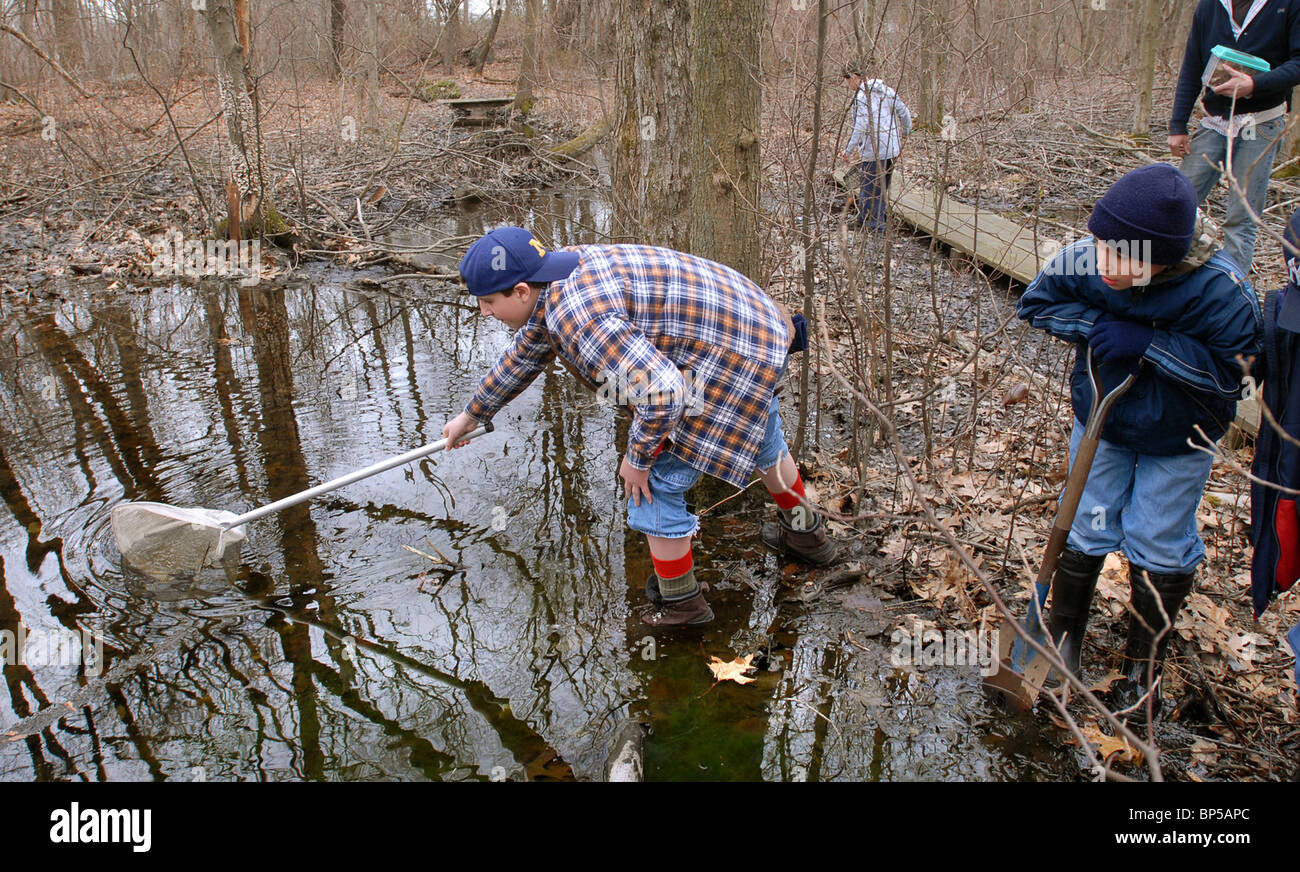 Ansonia, CT USA--13-Year-old Adam Patrick, left and his brother Christopher, 10, help collect Salamander Egg clusters. Stock Photo