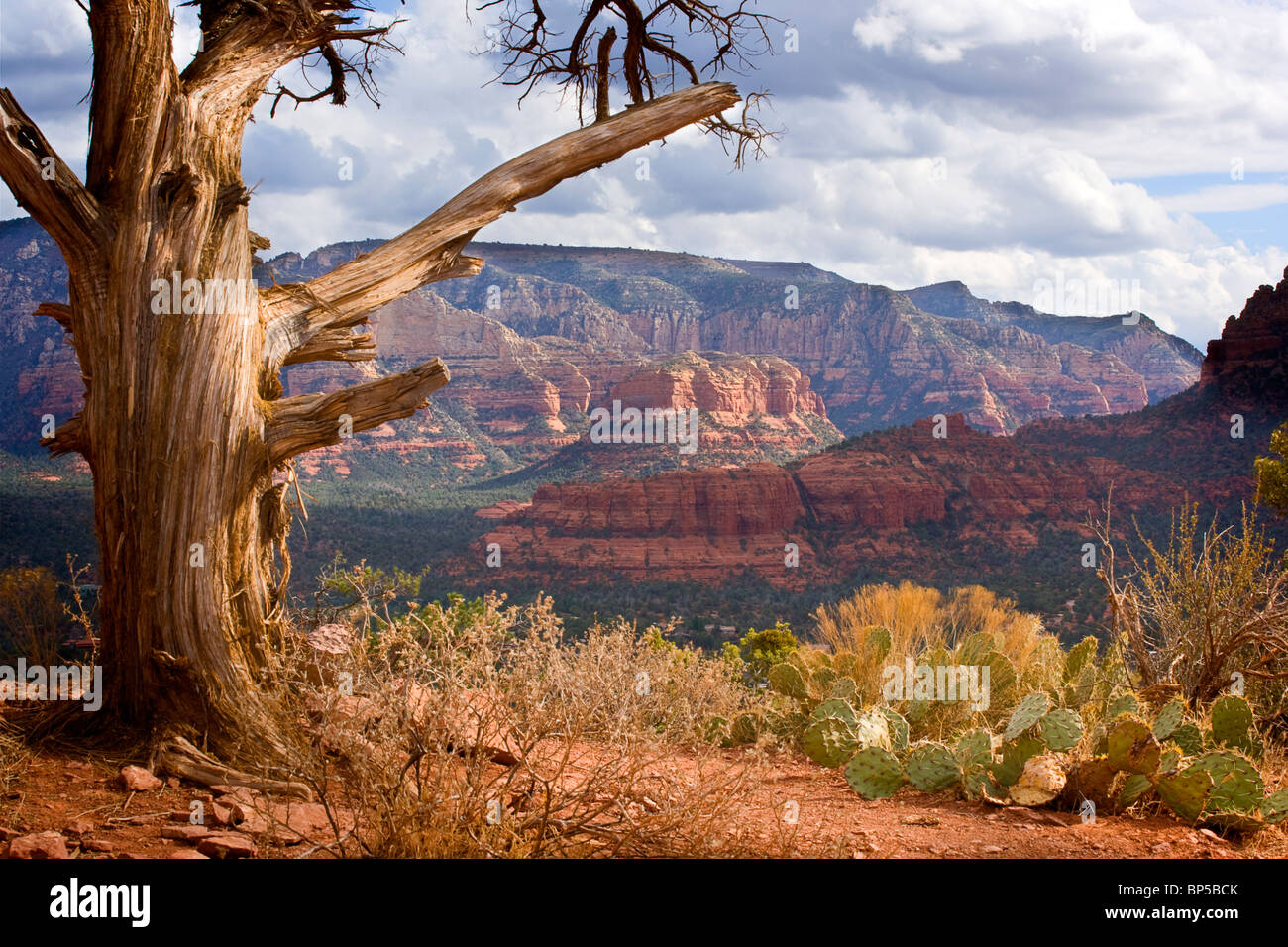 A view from the airport vortex in Sedona Arizona Stock Photo - Alamy