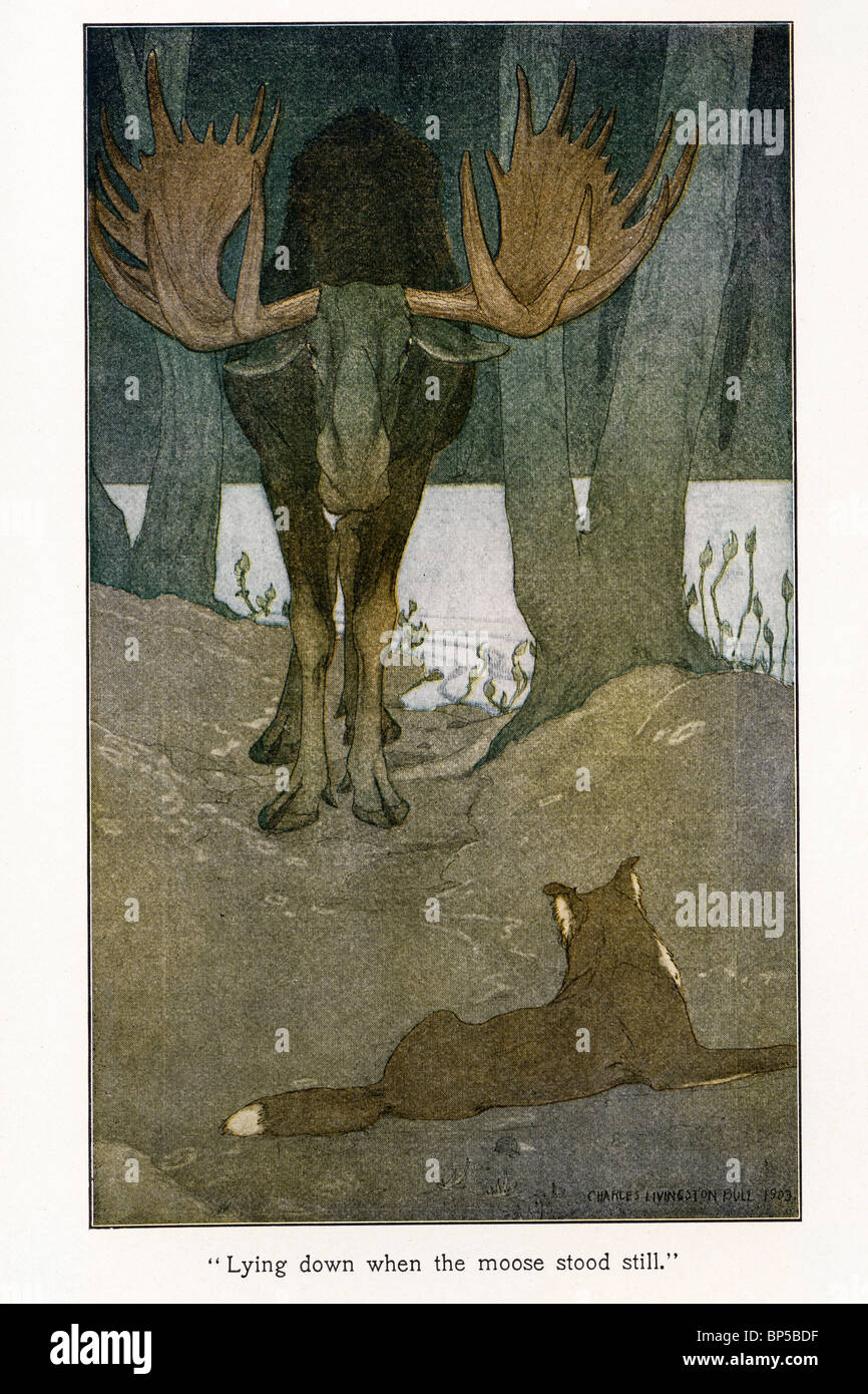 Illustration from The Call of the Wild by Jack London,