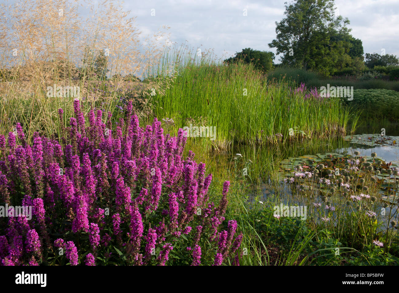 The Oast House Sussex large informal pond surrounded trees shrub Stock Photo