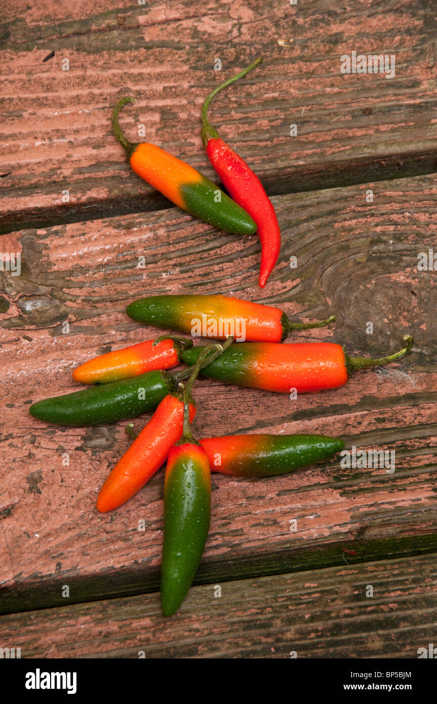 Red and green chili peppers. Stock Photo