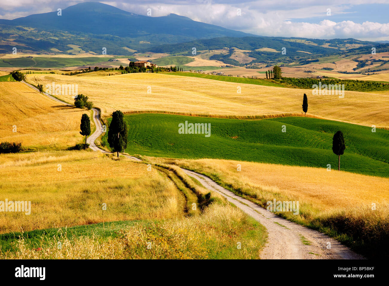 Country lane leading to villa near Pienza Tuscany Italy Stock Photo