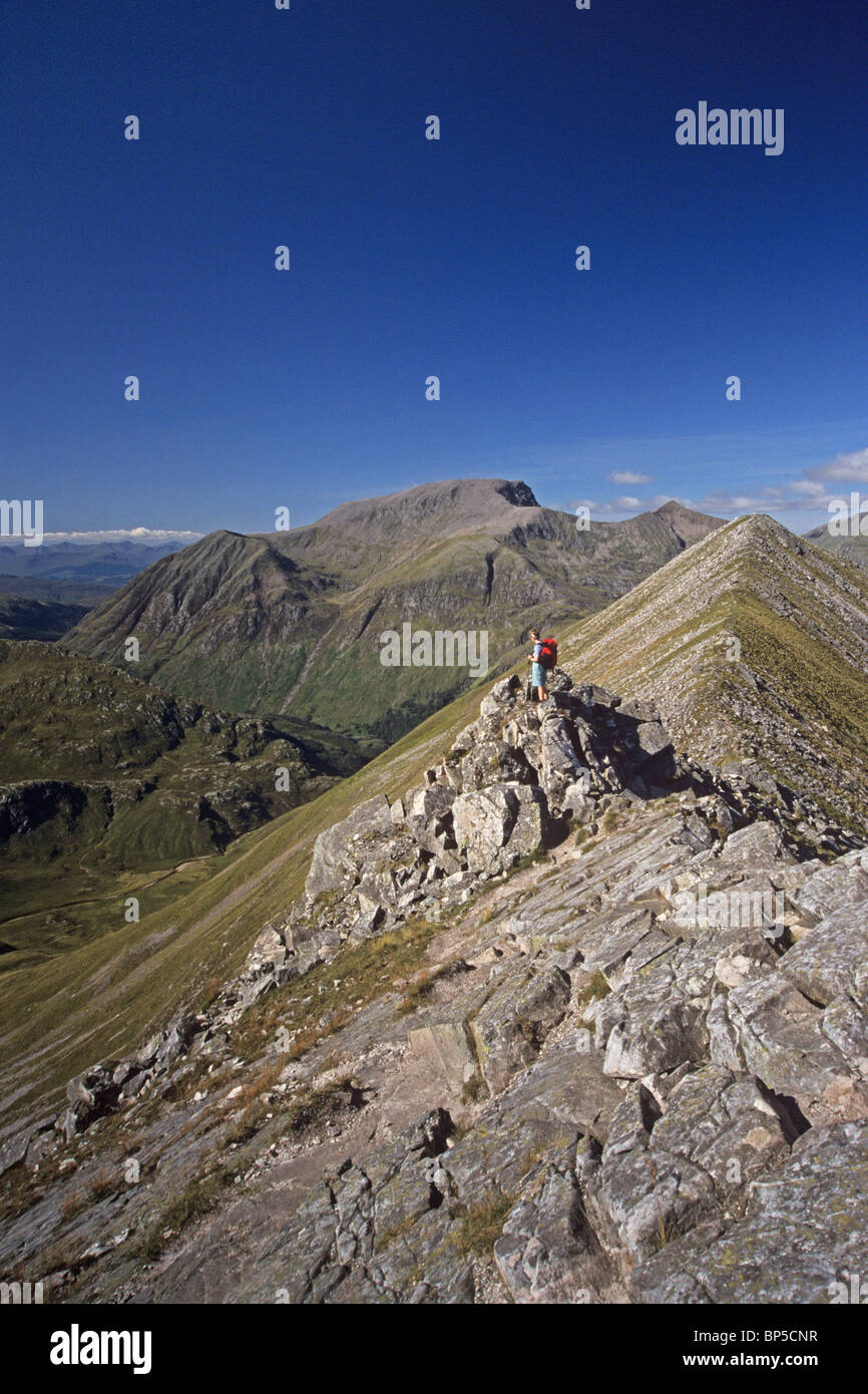 Ben Nevis from Am Bodach (north east ridge) in the Mamores Stock Photo
