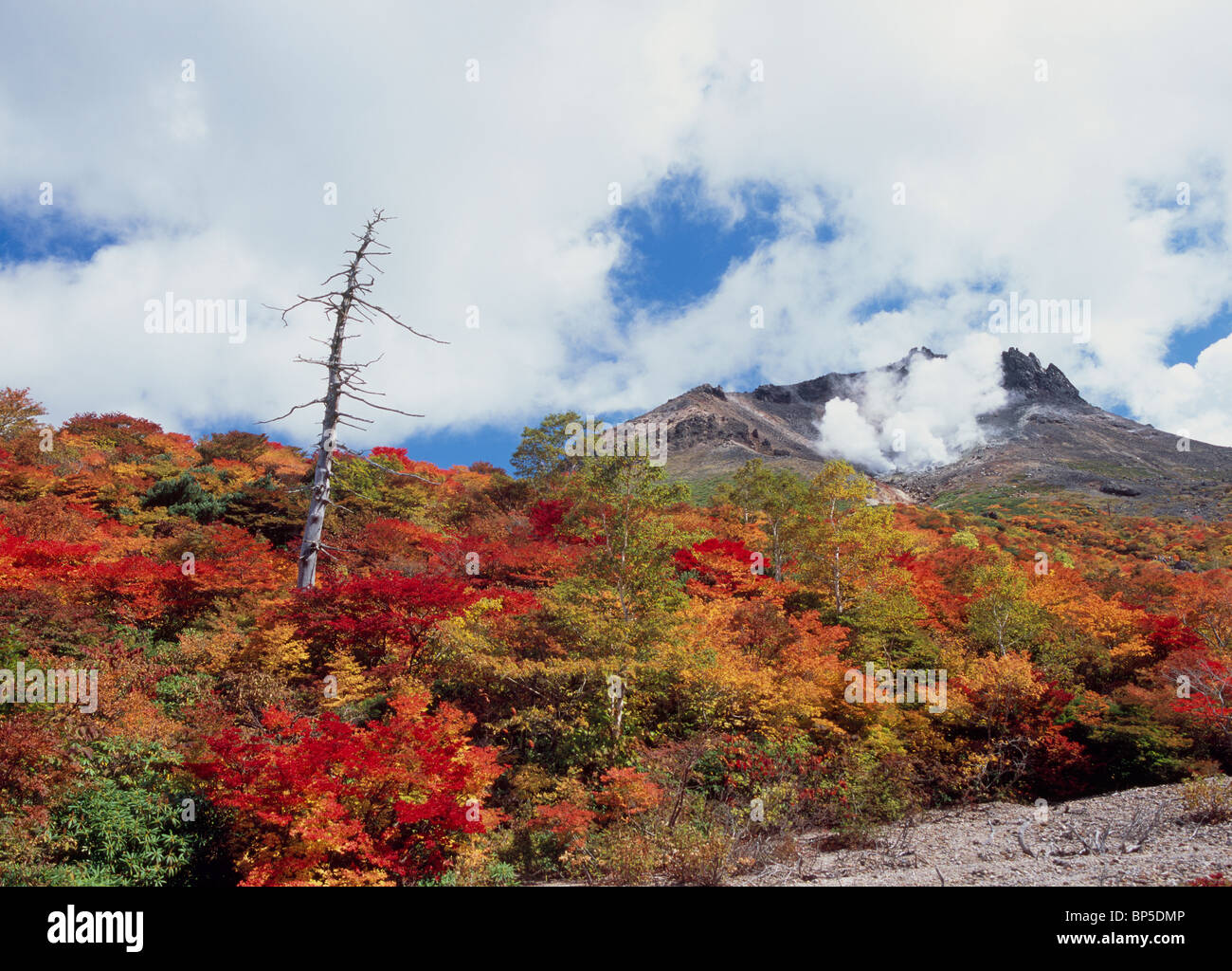 Mount Chausu from Ubagadaira, Nasu, Tochigi, Japan Stock Photo