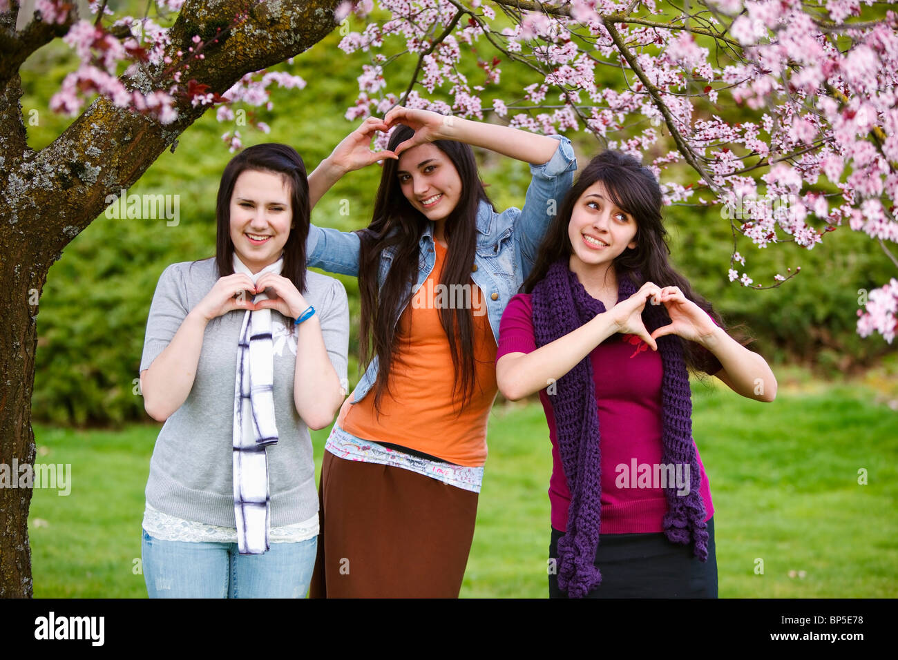 Portland, Oregon, United States Of America; Three Teenage Girls Making Heart Shapes With Their Hands In Portland Park Stock Photo
