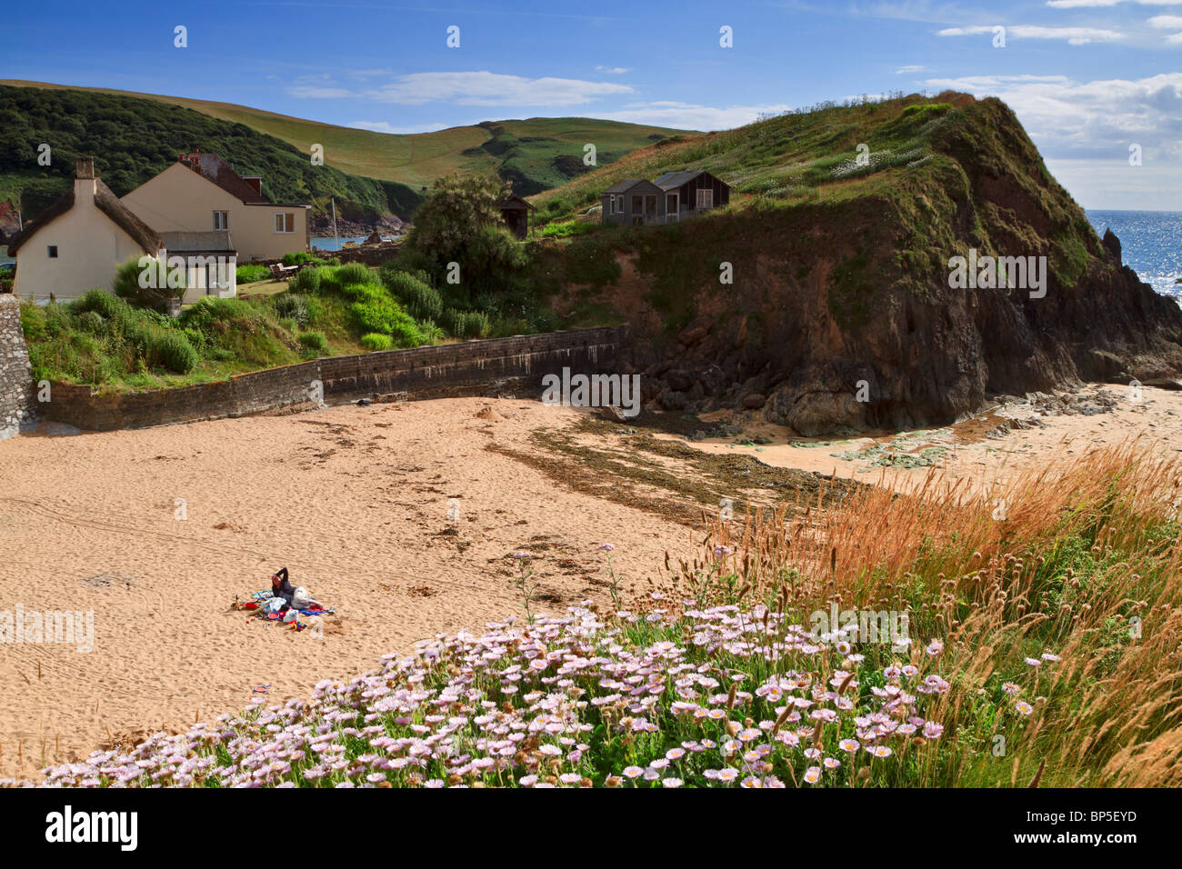 The beach and houses of the historic village at Hope Cove, South Hams
