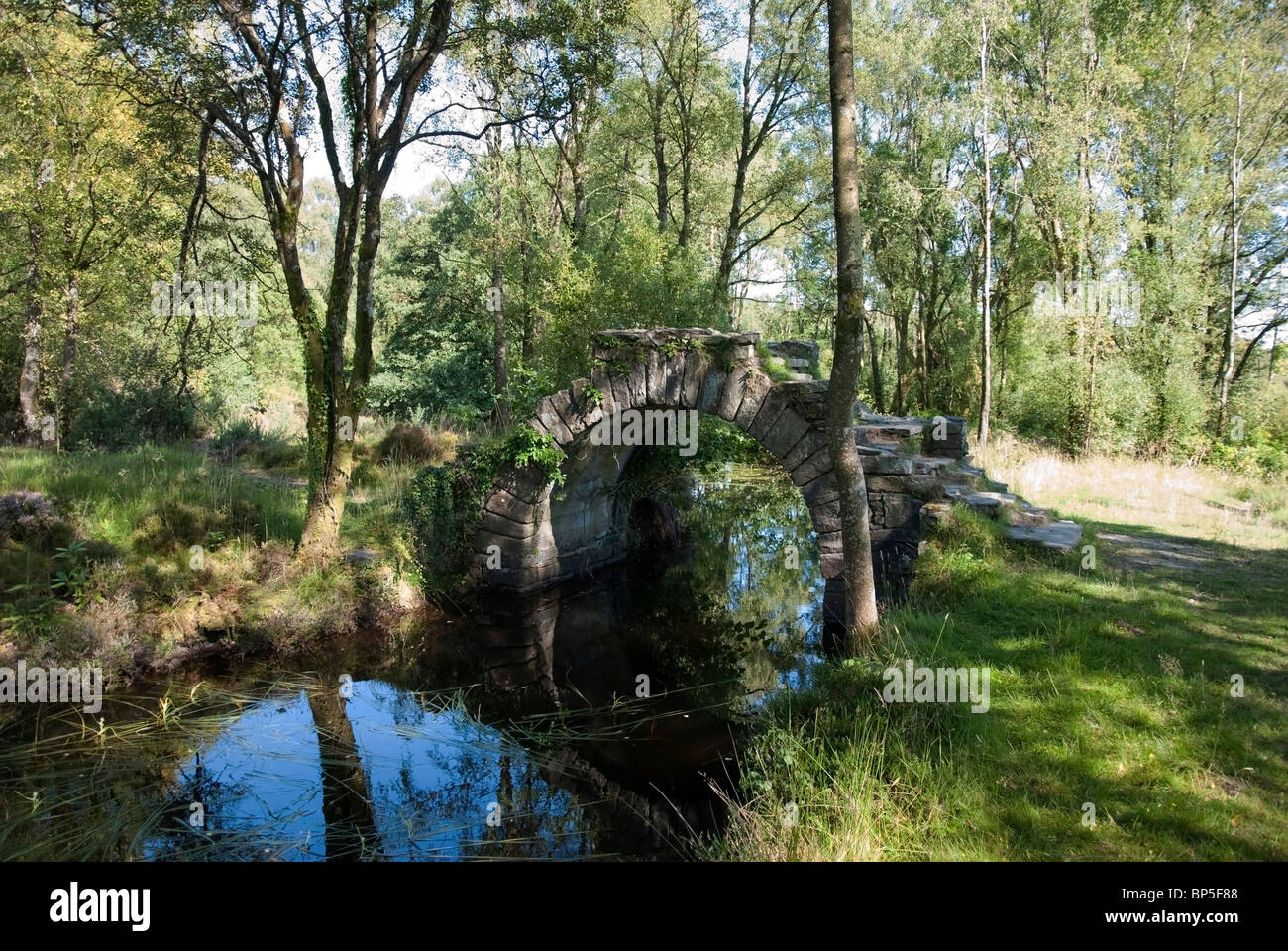 The Ivy Bridge at the Chinese Ponds Castle Toward Estate Corlarach Forest Ardyne Argyll Stock Photo