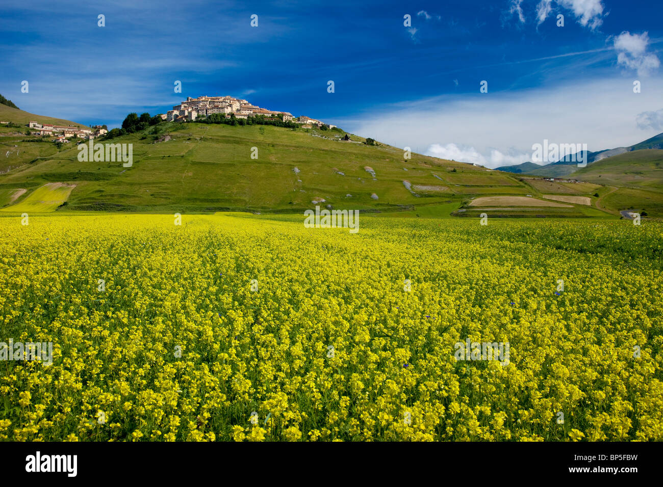 Italian Wildflowers Stock Photos Italian Wildflowers Stock Images Alamy italian-wildflowers-stock-photos-italian-wildflowers-stock-images-alamy