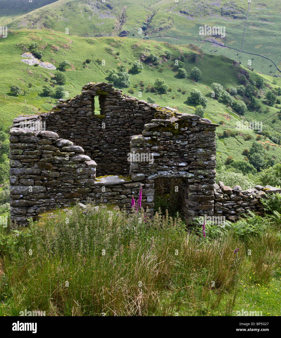 Sheepfold and deserted shepherd's hut near Kirkstone Pass, Troutbeck Park Farm, Cumbria. Stock Photo