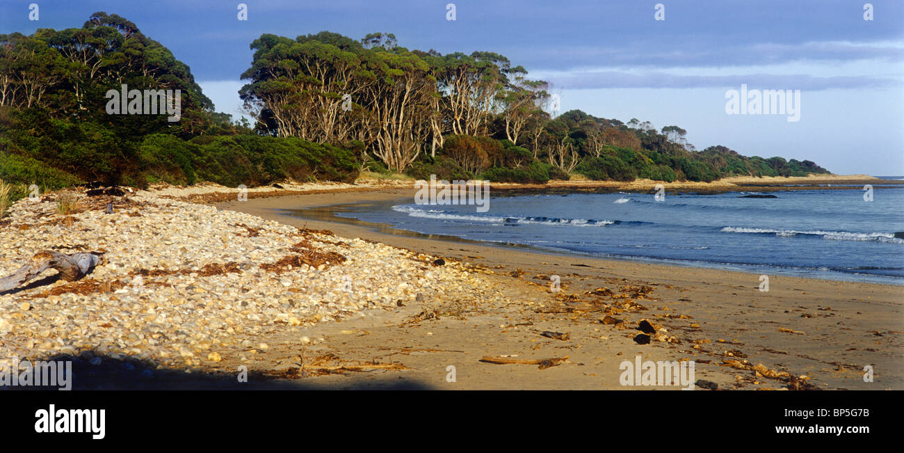 Beach, Tasmania, Australia, horizontal, Stock Photo