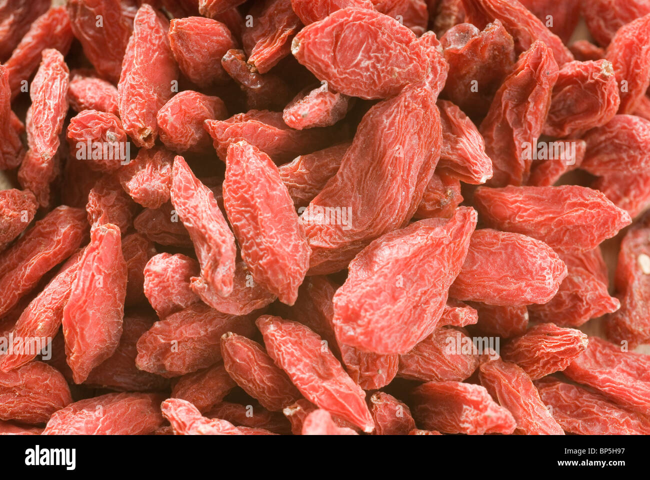 pile of red goji berries (Lycium chinense) on wooden board Stock Photo