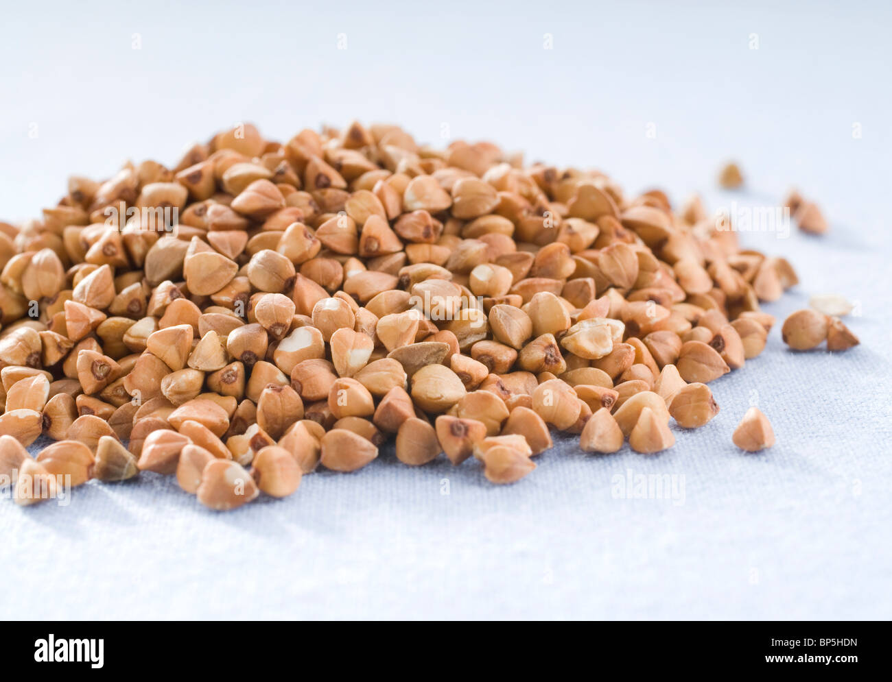 buckwheat seeds,Fagopyrum Stock Photo Alamy